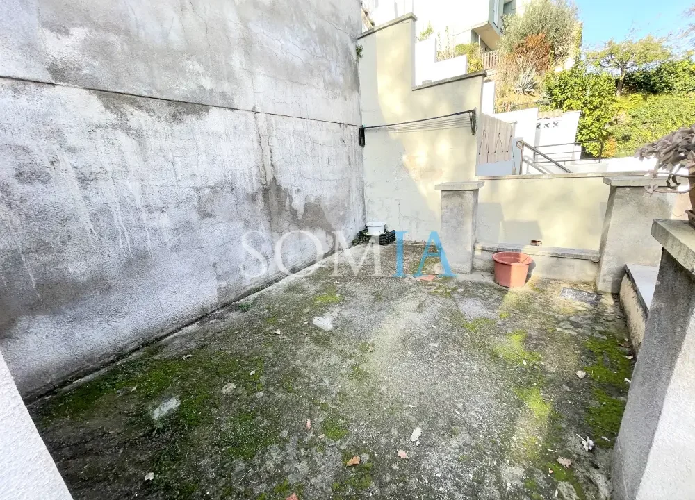IMG 2323